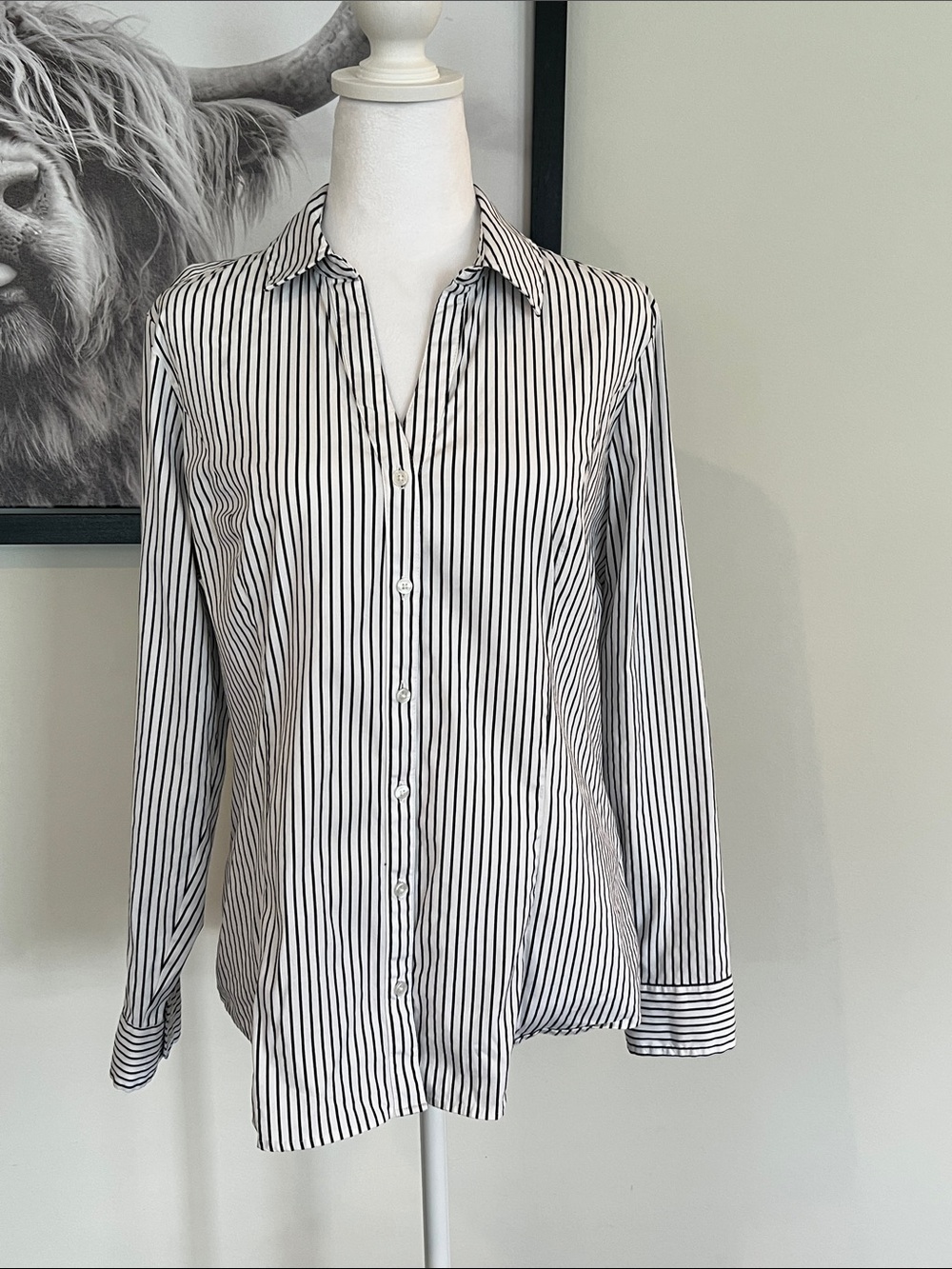 Express Black and White Vertical Stripe Button-Down Shirt